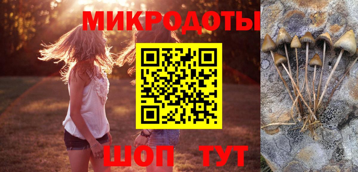 Галлюциногенные грибы GOLDEN TEACHER Ярославль