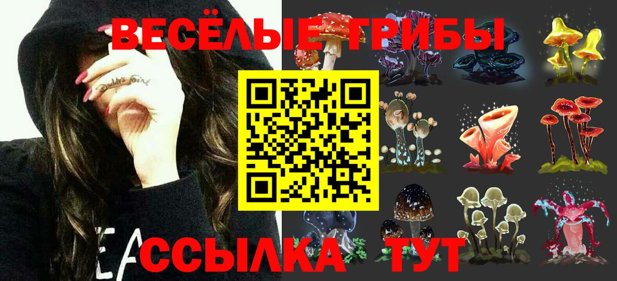 Галлюциногенные грибы MAGIC MUSHROOMS  Вход с VPN  Ярославль 